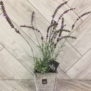 Lavanda artificiala in ghiveci din lemn SIA