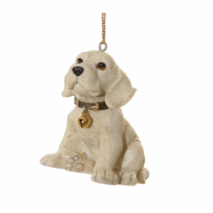 Cainisor Golden retriver 6 cm SHISHI