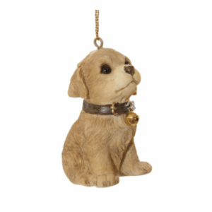 Cainisor Labrador 6 cm SHISHI