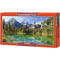 Puzzle Castor 4000