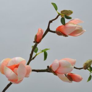 Ramura flori artificiale Magnolia piersic 51 cm SILKKA