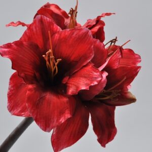 Floare artificiala Amaryllis rosu 61 cm SILKKA