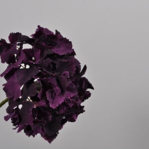 Floare artificiala Hortensia mov 50 cm SILKKA