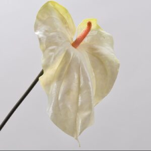 Floare artificiala Anthurium verde/galben 88 cm SILKKA