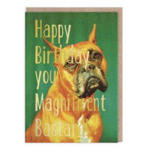 Felicitare -You Magnificent Bastard Birthday Card OHH DEER