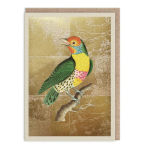 Felicitare -Lemon-Throated Barbet Greeting Card OHH DEER