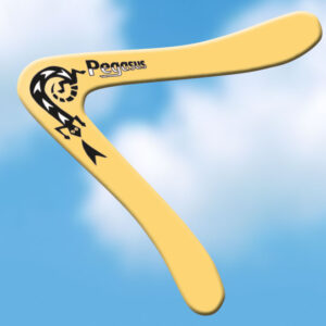 Boomerang Pegasus