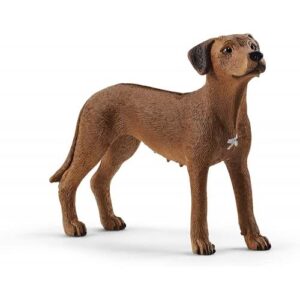 Figurina Caine Rhodesian Ridgeback Schleich