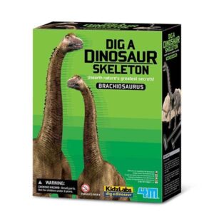 Set educativ Brachiosaurus 4M