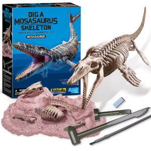 Set sapaturi arheologice Dig a Mosasaurus skeleton 4M
