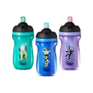 Cana Explora cu pai izoterma (12+) 260 ml (asortiment)Tommee Tippee