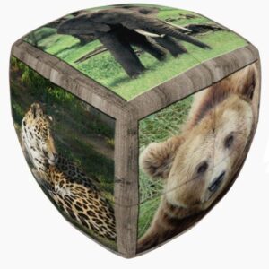 Cubic Rubic Animale salbatice - 2X2 V-CUBE