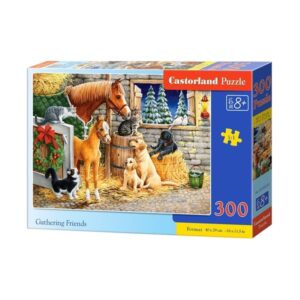 Puzzle CASTOR 300 B-030255