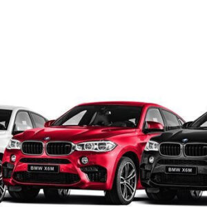 Masina BMW X6 1:24 RASTAR