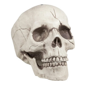 Decorare pentru Halloween craniu 16 x 14 x 21 cm BOLAND