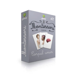 Carti de joc Montessori. Corpul uman/vocabular. GAMA, 2016.