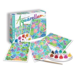Set de creatie Pictura pe numere Vi Du Ciel Aquarellum SentoSphere