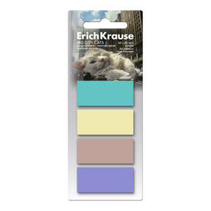 Index-uri 45х20 mm, 80 foi 4 cul. Big City Cats ErichKrause