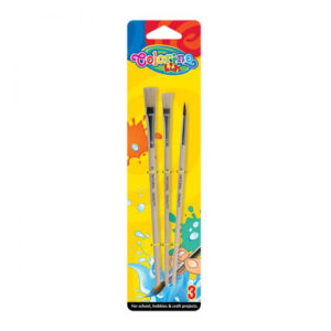 Set pensule scolare 3 buc Colorino