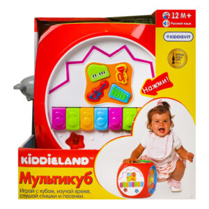 Multicub de dezvoltare muzical cu lumini (l. rusa)
