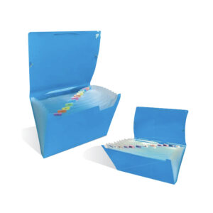 Мapa plastic File сu 13 compartimente 265 x 135 mm FLUO ARDA