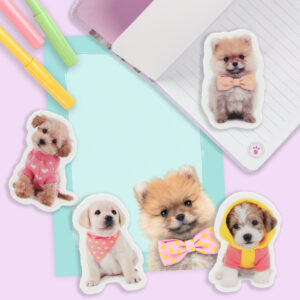 Set de 4 radiere 2D Catelusi Studio Pets
