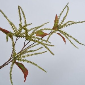 Ramura artificiala verde 88 cm SILKKA