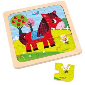 Puzzle Calut JANOD