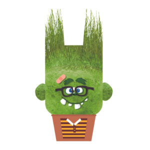 Papusa cap de iarba Charles vesel Hape
