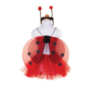 Set cu o buburuza stralucitoare, Marimea 4-6 Great Pretenders